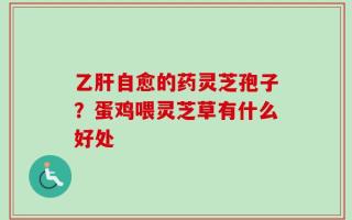 乙肝自愈的药灵芝孢子？蛋鸡喂灵芝草有什么好处