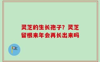 灵芝的生长孢子？灵芝留根来年会再长出来吗