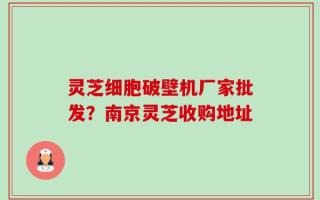 灵芝细胞破壁机厂家批发？南京灵芝收购地址