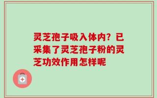 灵芝孢子吸入体内？已采集了灵芝孢子粉的灵芝功效作用怎样呢