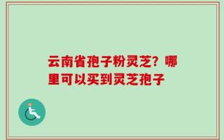 云南省孢子粉灵芝？哪里可以买到灵芝孢子