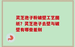 灵芝孢子粉破壁工艺图纸？灵芝孢子去壁与破壁有哪些差别