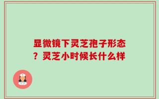 显微镜下灵芝孢子形态？灵芝小时候长什么样