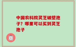 中国农科院灵芝破壁孢子？哪里可以买到灵芝孢子