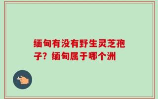 缅甸有没有野生灵芝孢子？缅甸属于哪个洲