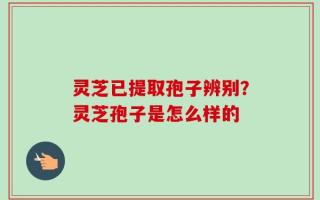 灵芝已提取孢子辨别？灵芝孢子是怎么样的