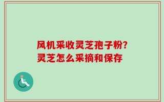 风机采收灵芝孢子粉？灵芝怎么采摘和保存