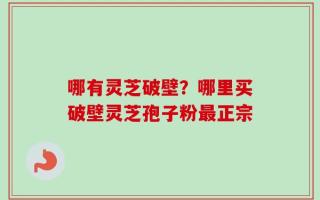 哪有灵芝破壁？哪里买破壁灵芝孢子粉最正宗
