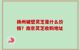 扬州破壁灵芝是什么价格？南京灵芝收购地址