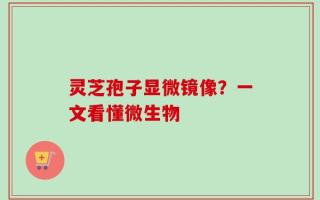 灵芝孢子显微镜像？一文看懂微生物