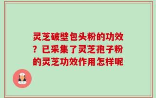 灵芝破壁包头粉的功效？已采集了灵芝孢子粉的灵芝功效作用怎样呢