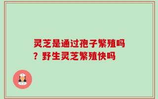 灵芝是通过孢子繁殖吗？野生灵芝繁殖快吗