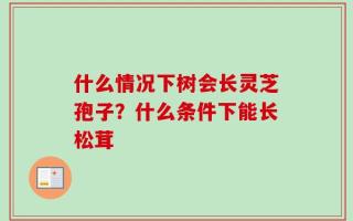 什么情况下树会长灵芝孢子？什么条件下能长松茸