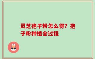 灵芝孢子粉怎么得？孢子粉种植全过程