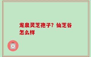 龙泉灵芝孢子？仙芝谷怎么样
