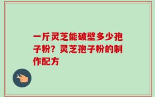一斤灵芝能破壁多少孢子粉？灵芝孢子粉的制作配方