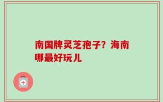 南国牌灵芝孢子？海南哪最好玩儿