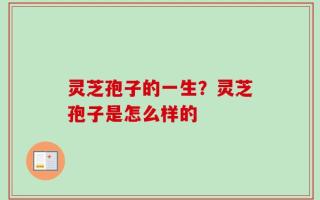 灵芝孢子的一生？灵芝孢子是怎么样的