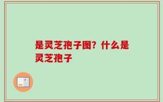 是灵芝孢子图？什么是灵芝孢子