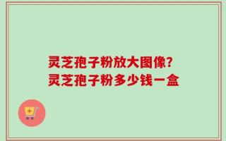 灵芝孢子粉放大图像？灵芝孢子粉多少钱一盒