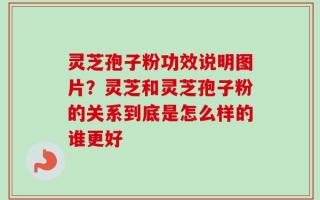 灵芝孢子粉功效说明图片？灵芝和灵芝孢子粉的关系到底是怎么样的谁更好