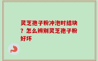 灵芝孢子粉冲泡时结块？怎么辨别灵芝孢子粉好坏