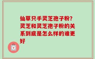仙草只手灵芝孢子粉？灵芝和灵芝孢子粉的关系到底是怎么样的谁更好