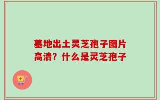 墓地出土灵芝孢子图片高清？什么是灵芝孢子