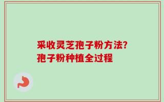 采收灵芝孢子粉方法？孢子粉种植全过程