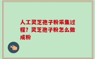 人工灵芝孢子粉采集过程？灵芝孢子粉怎么做成粉