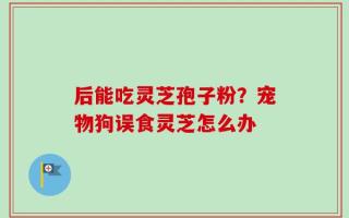 后能吃灵芝孢子粉？宠物狗误食灵芝怎么办
