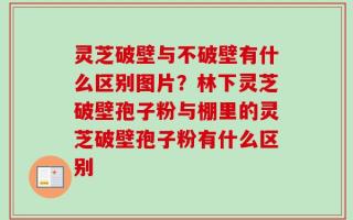 灵芝破壁与不破壁有什么区别图片？林下灵芝破壁孢子粉与棚里的灵芝破壁孢子粉有什么区别