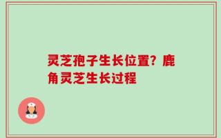 灵芝孢子生长位置？鹿角灵芝生长过程