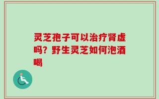 灵芝孢子可以治疗肾虚吗？野生灵芝如何泡酒喝