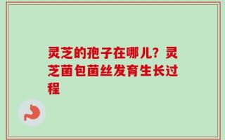 灵芝的孢子在哪儿？灵芝菌包菌丝发育生长过程