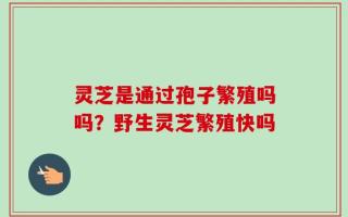 灵芝是通过孢子繁殖吗吗？野生灵芝繁殖快吗