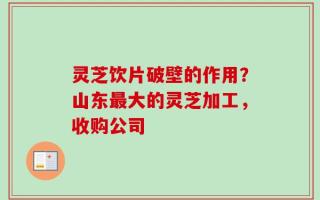 灵芝饮片破壁的作用？山东最大的灵芝加工，收购公司