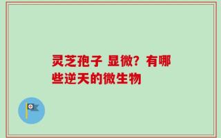 灵芝孢子 显微？有哪些逆天的微生物