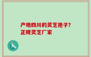 产地四川的灵芝孢子？正规灵芝厂家