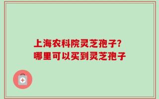上海农科院灵芝孢子？哪里可以买到灵芝孢子