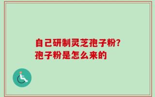 自己研制灵芝孢子粉？孢子粉是怎么来的