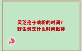 灵芝孢子喷粉的时间？野生灵芝什么时间出芽