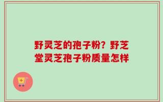 野灵芝的孢子粉？野芝堂灵芝孢子粉质量怎样