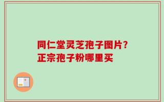 同仁堂灵芝孢子图片？正宗孢子粉哪里买