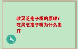 收灵芝孢子粉的原理？吃灵芝孢子粉为什么出汗