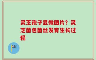 灵芝孢子显微图片？灵芝菌包菌丝发育生长过程