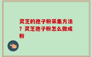 灵芝的孢子粉采集方法？灵芝孢子粉怎么做成粉