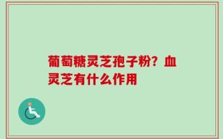 葡萄糖灵芝孢子粉？血灵芝有什么作用