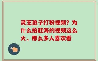 灵芝孢子打粉视频？为什么拍赶海的视频这么火，那么多人喜欢看