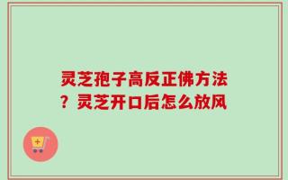 灵芝孢子高反正佛方法？灵芝开口后怎么放风